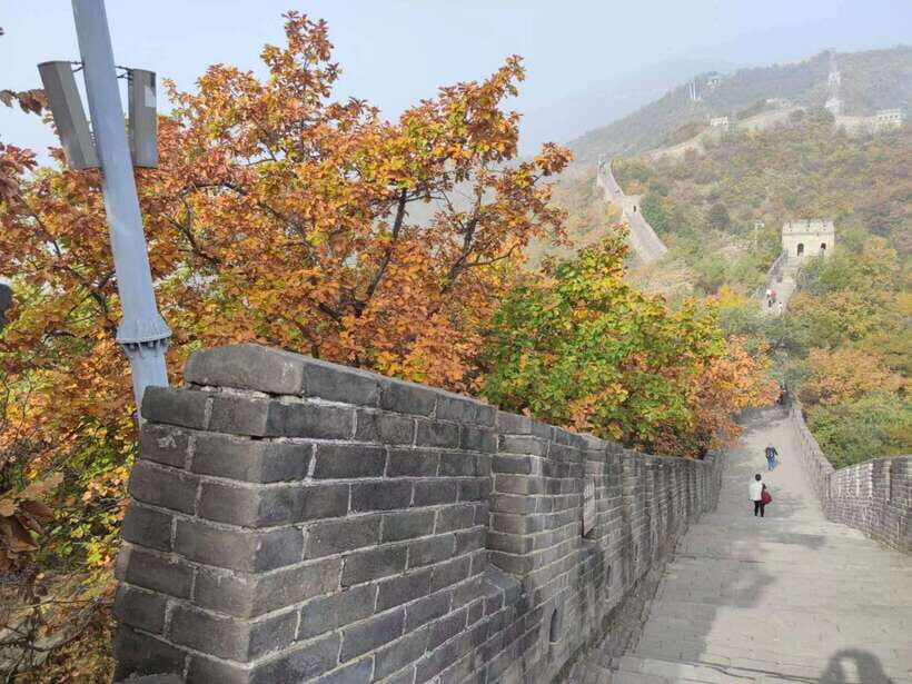 Beijing: Mutianyu Great Wall and Forbidden City Private Tour - The Real Deal: Private Transport and Timing from Your Beijing Hotel